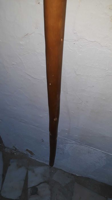 Paú de Caminhante de Colecção Privada #4