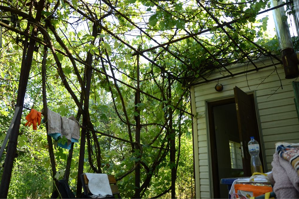 Продам Дачу СМТ Таромське ПГТ Таромское