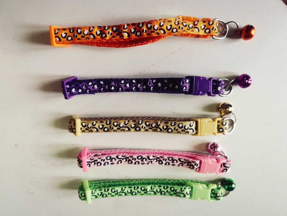 Coleiras de gato cão