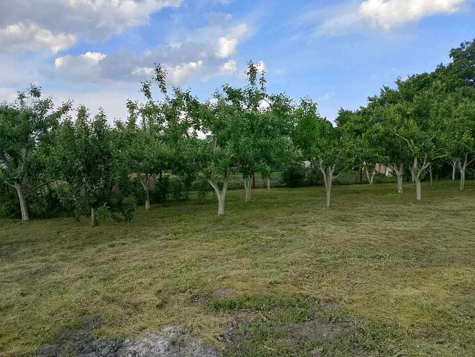 Будинок в місті Носівка.