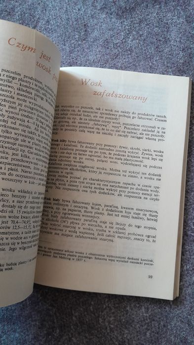 Pszczoły i ludzie Książka