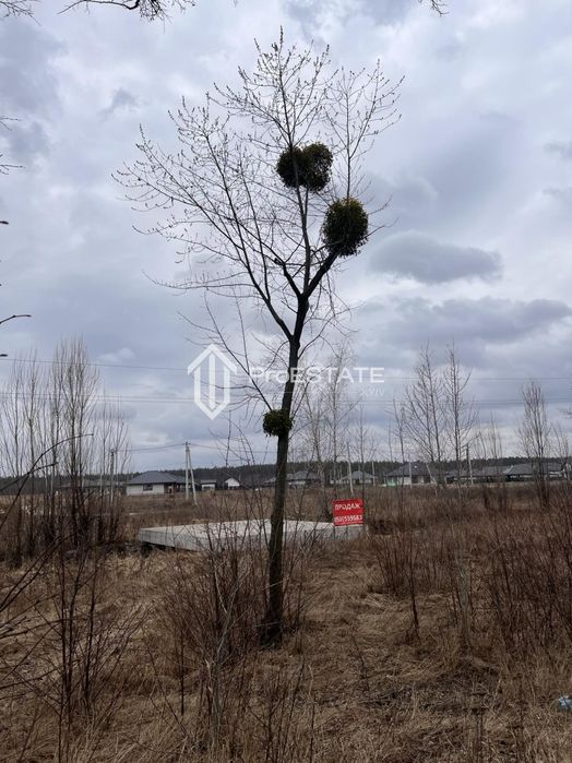 Продаж земельної ділянки фасад 2 га с.Гнідин