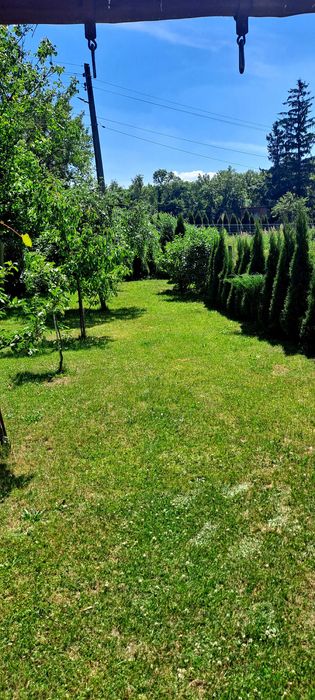 Działka ROD Czeladź - Widok 5