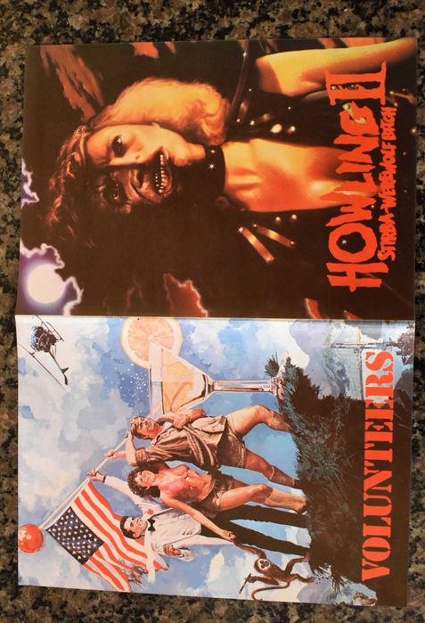 Cinema: Poster "Missing in Action 2: The Beginning" (1985)