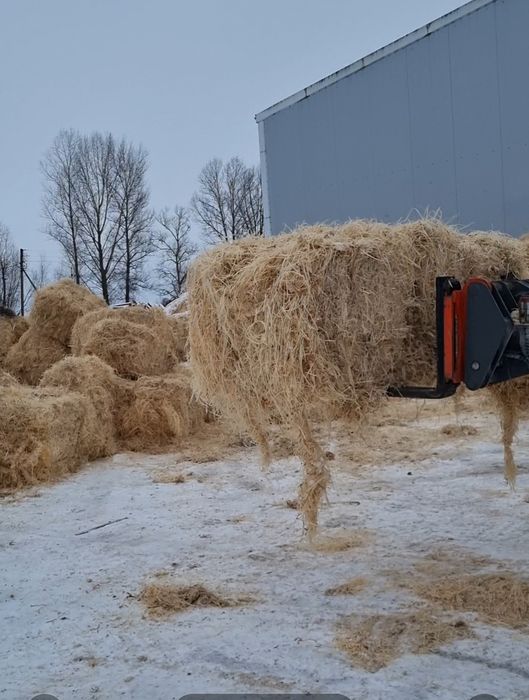 Продам ти рсу стружку
