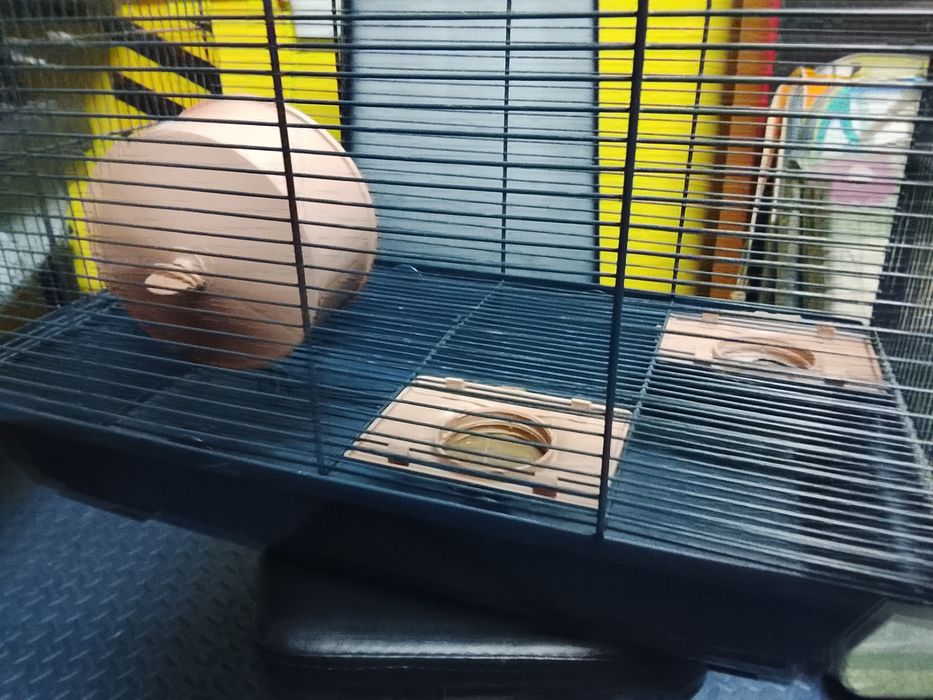 Gaiolas hamster usadas