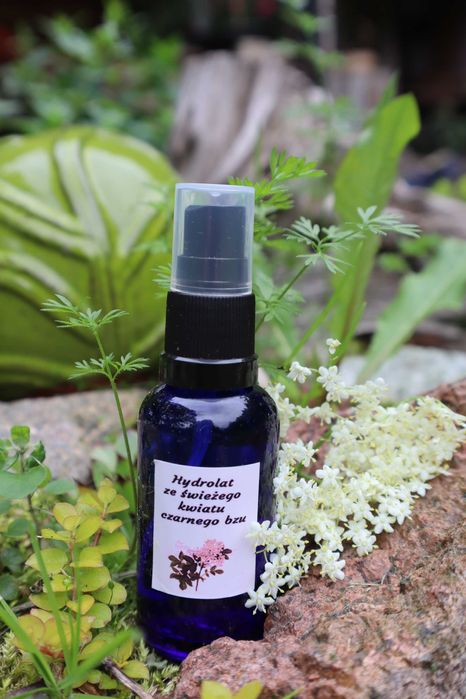 Hydrolat z kwiatów bzu czarnego 30 ml