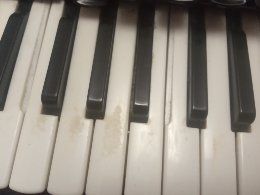 Акордион weltmeister