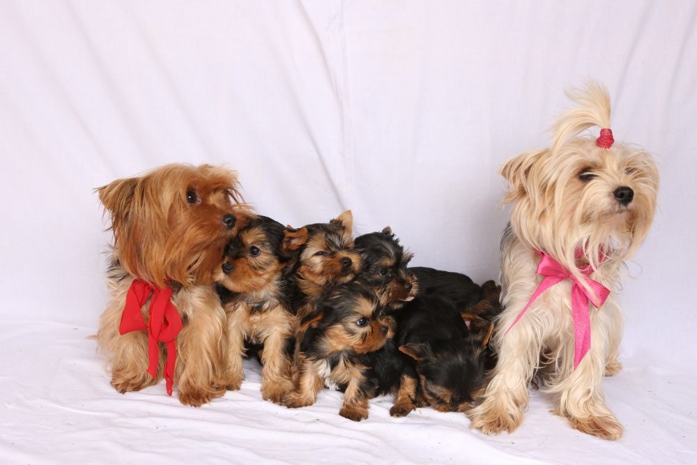 Мальчики и Девочки !