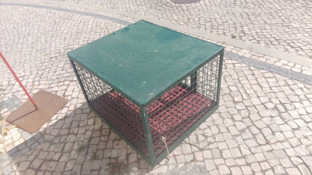 Caixa de cães li