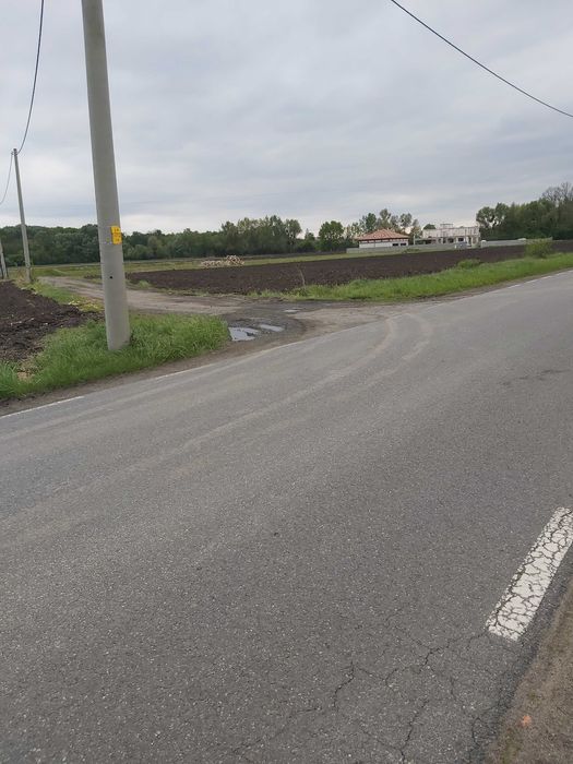 Działka  zagrodowa.