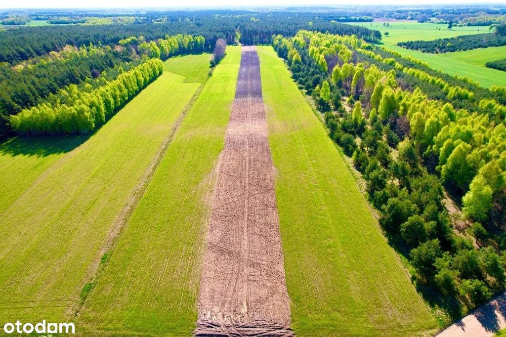 Działka 3001m2 Wólka/Skrwilno