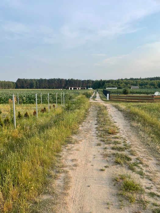 Piękna działka z warunkami zabudowy Nowy Sumin Bory Tucholskie