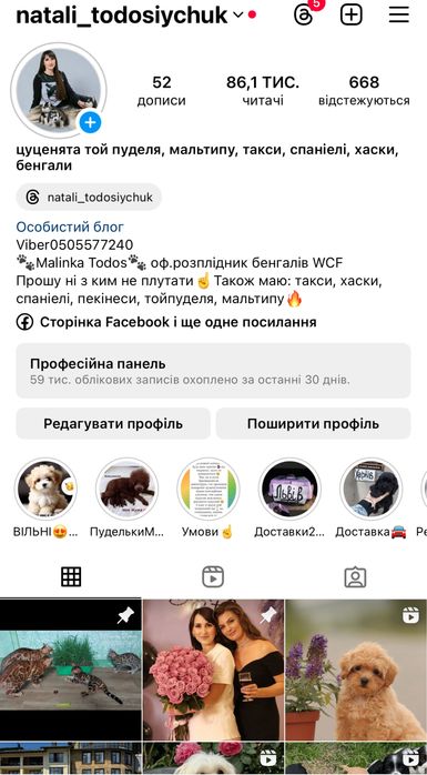 Супер класний хлопчик кокер
