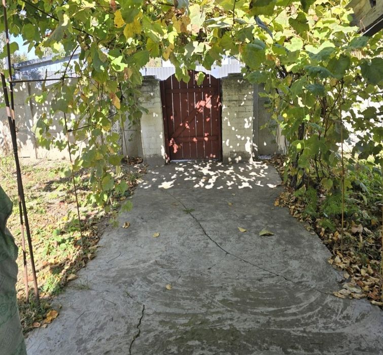 Продам будинок в селі