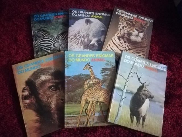 Os grandes enigmas do mundo animal