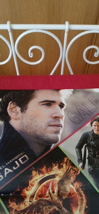 Poster Sinsajo - Katniss e Gale,  novo