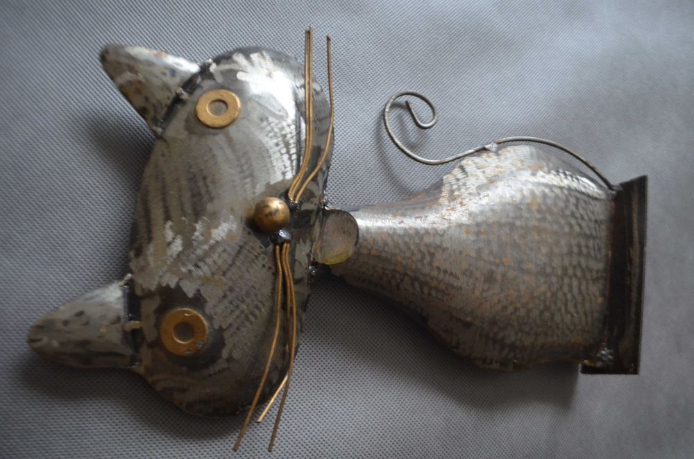 metaloplastyka kot duży