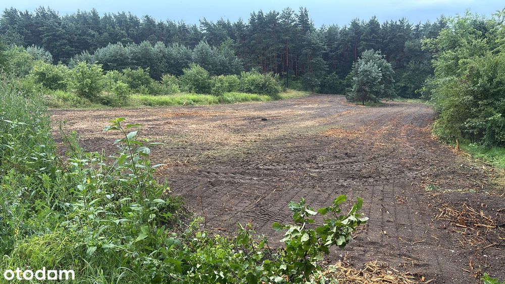 Działki budowlane Klucze , pod lasem, 1 km od pustyni bledowskiej.