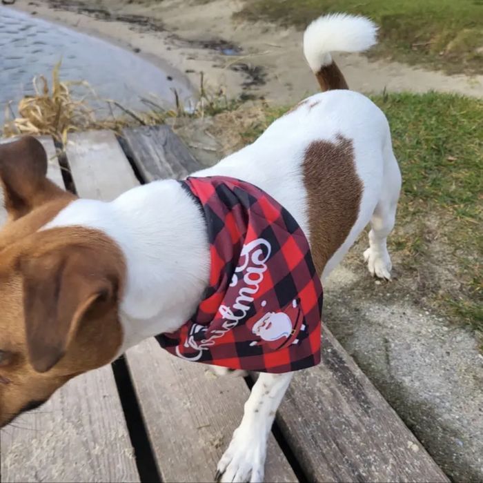 Świąteczna chustka dla psa – Merry Christmas