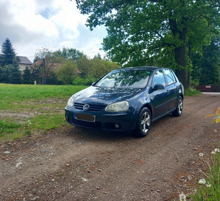 VW_Golf 5_1.9 TDI_5 Drzwi_Sprawna Klima_Alusy_Bez korozji_OKAZJA