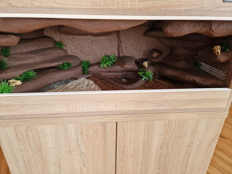 Terrarium wyposażone