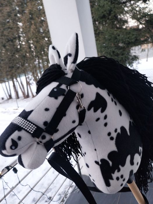 Hobby Horse-koń na kiju