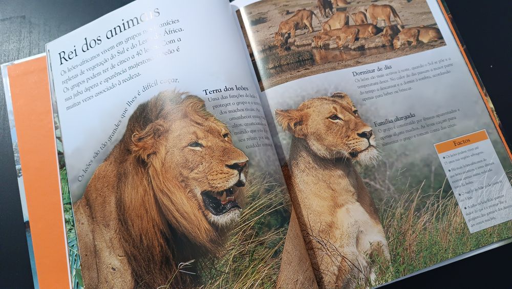Livro Animais Grandes Felinos. Como Novo