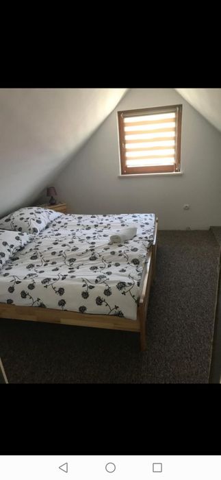 Do wynajęcia mały domek