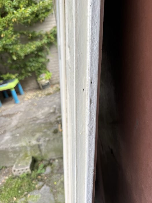 Drzwi drewniane stare przedwojenne dwuskrzydlowe