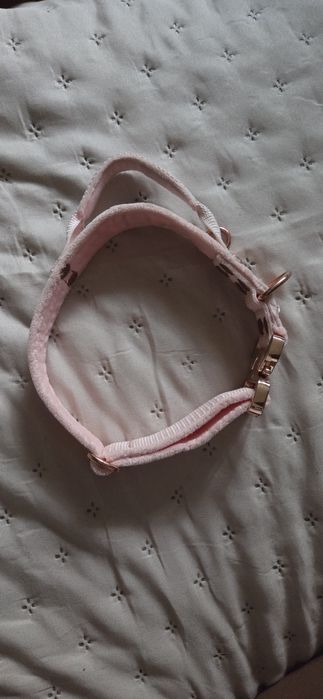 Hundstaff Szeroka obroża z klamrą extreme z rączką