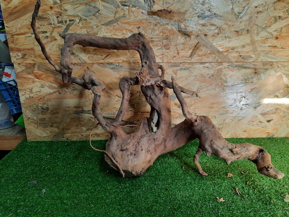 Korzeń do akwarium Red Moore Wood nr 832 o wymiarach 49/29/38