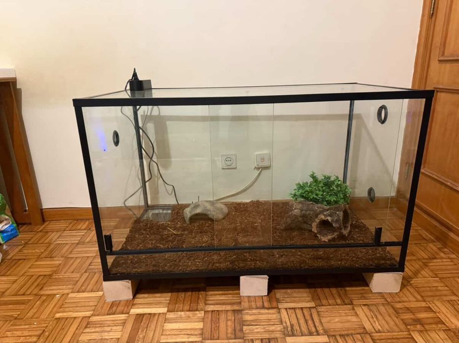 Vendo 2 terrarios com tudo incluido