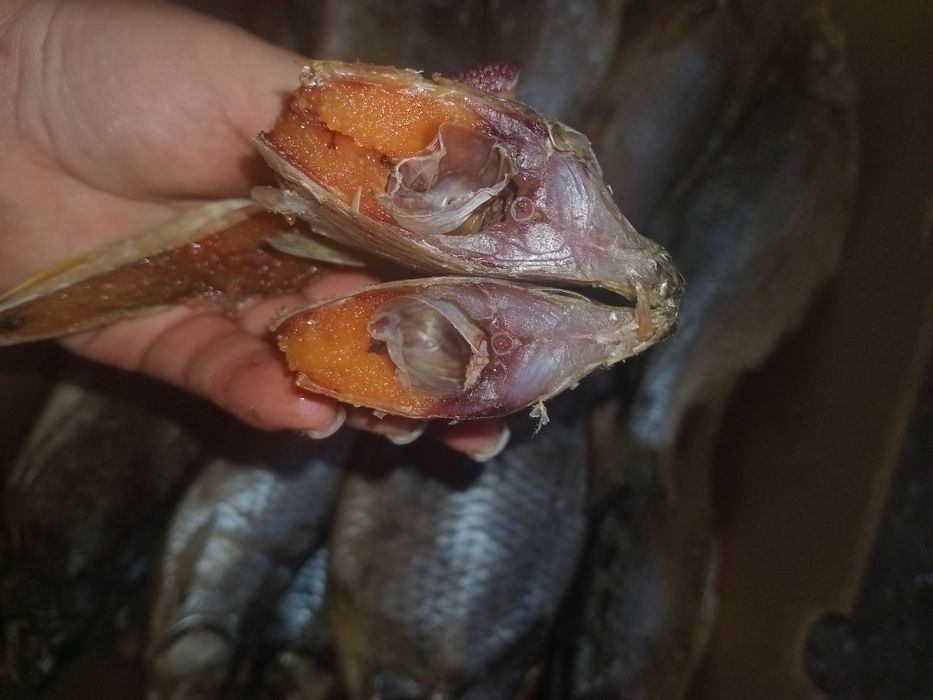 Тарань з плотви,кутума,окуня,рибця,под ляща