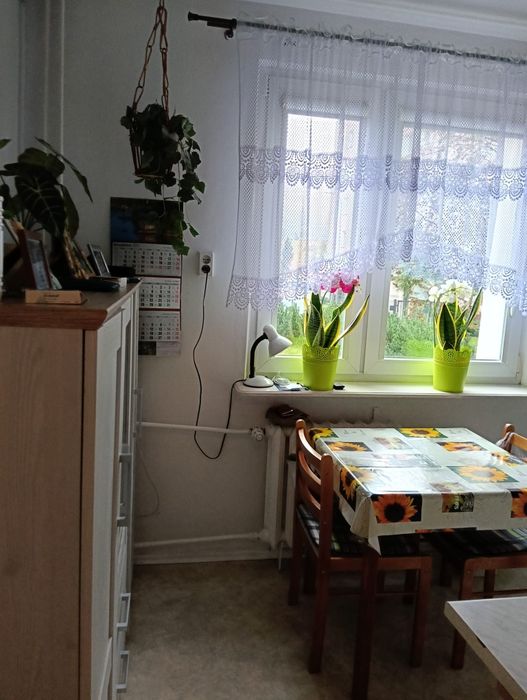 Kawalerka Radom ul Mieszka 1