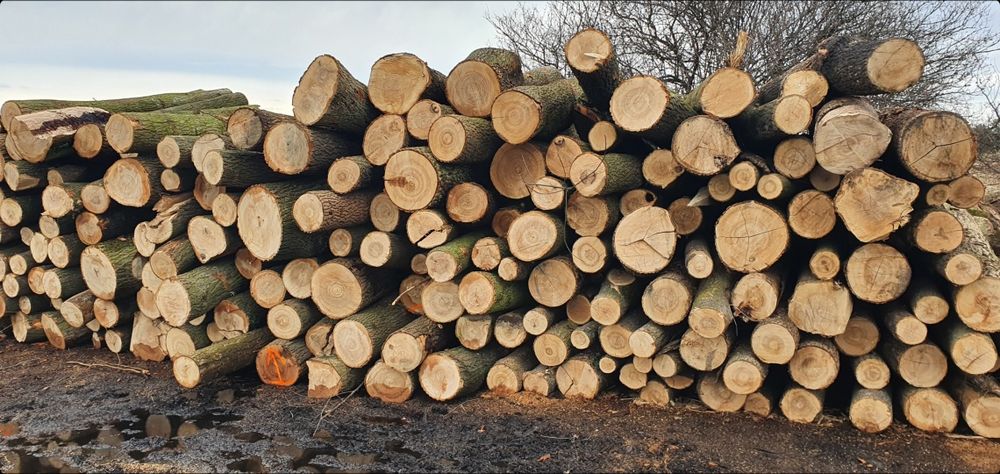 Drewno Opałowe/ Kominkowe PROMOCJA!