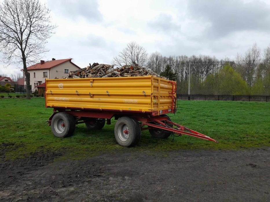 Drzewo drewno opałowe gotowe prosto do pieca. Przyczepa  transport