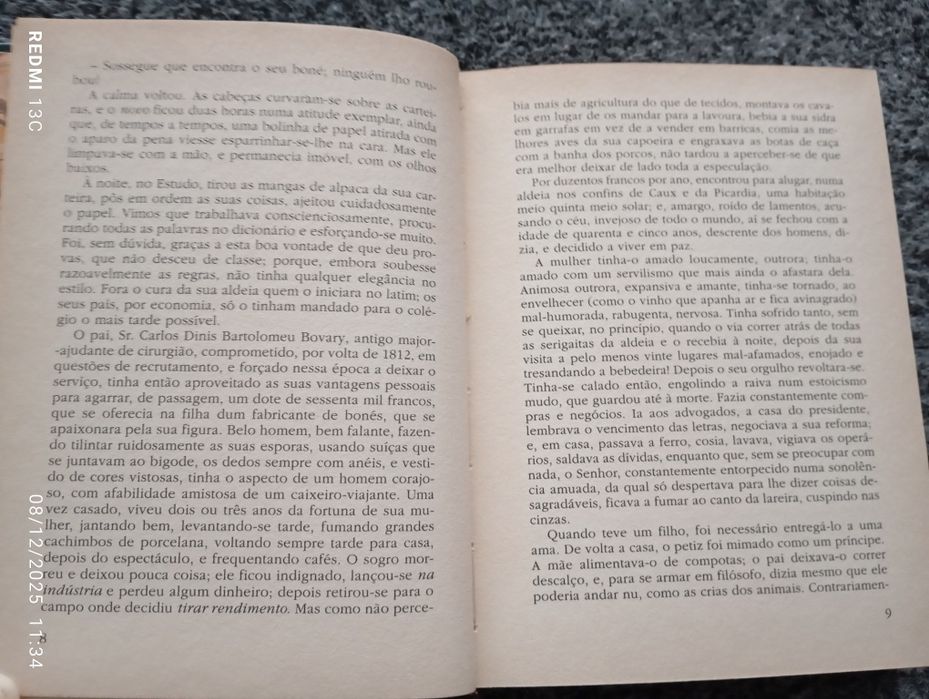 Livro "Madame Bovary"