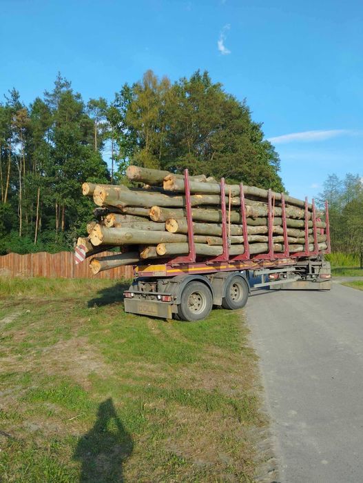 Buk/Grab/Dąb/Olcha/Brzoza/Drewno opałowe