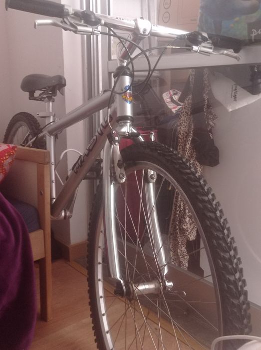 Bicicleta para adultos