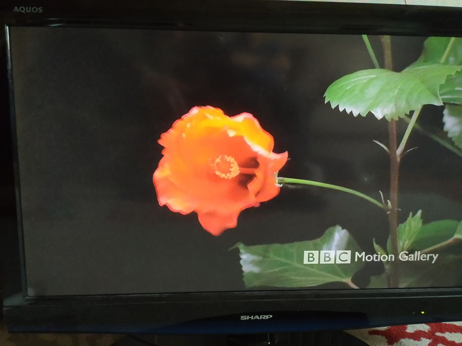 Продам телевізор 32" SHARP б/у