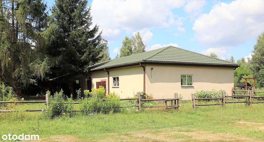 Zdjęcie 4
