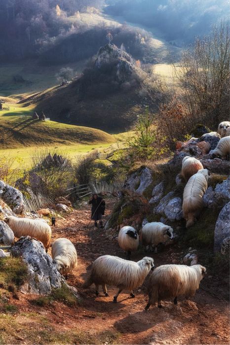 Dom, sauna, nocleg w gorach, apartamenty, pokoje z widokiem na gory
