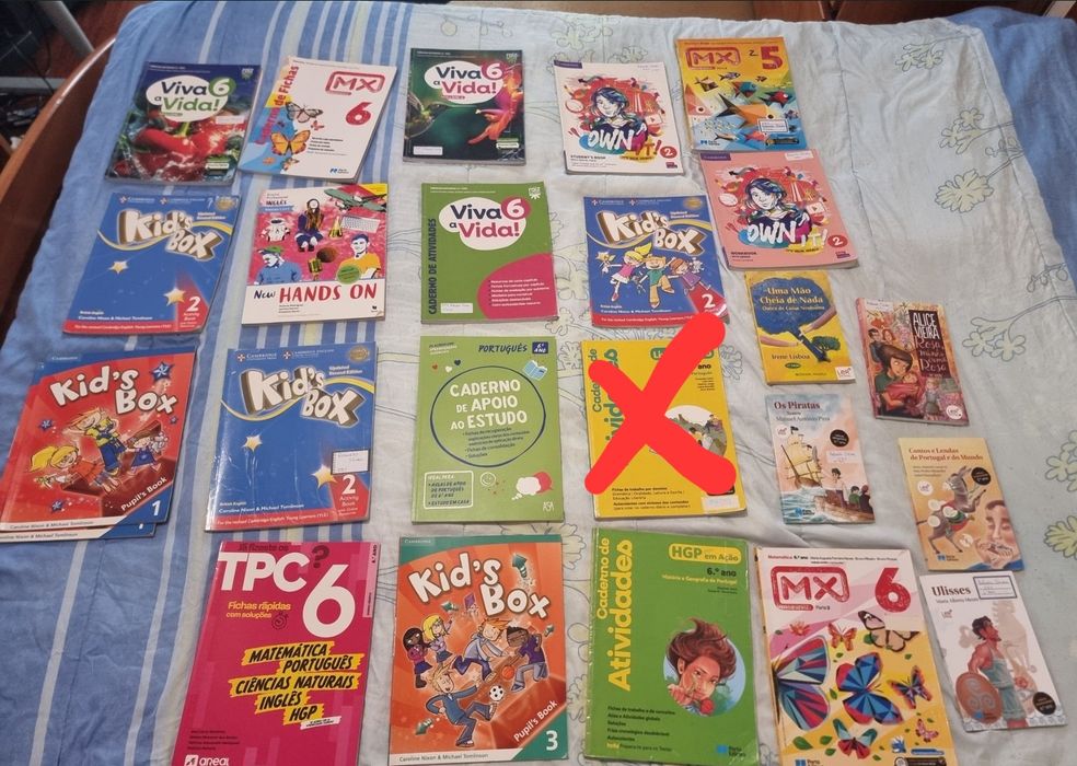 Livros escolares do 5º e 6°ano