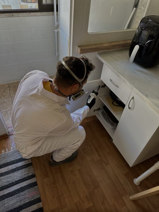 DESINFESTAÇÃO CONTROLO D EPRAGAS PERCEVEJOS BARATAS PULGAS TÉRMITAS