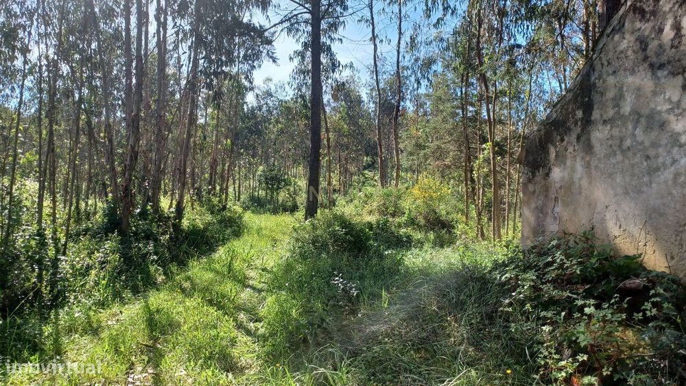Terreno - Vila Nova da Barca - Venda