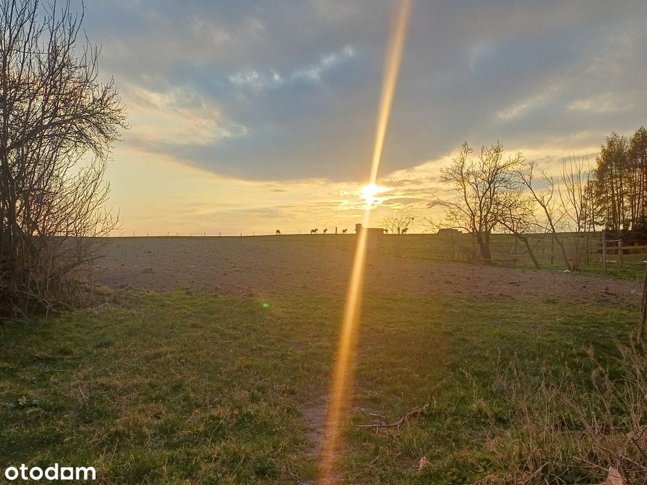 Siedlisko z łąką o łącznej powierzchni 1,12 ha - View 2