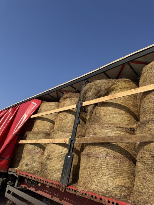 Sprzedam siano ładne zielone suchę,wielkosc 130 Pasowa