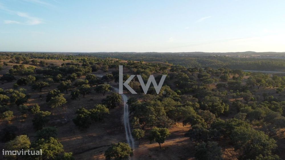 Refúgio Ideal no Alentejo: Investimento único com Potencial Agrícola e