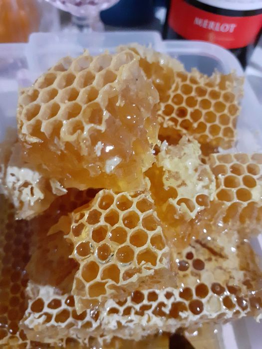 Mleczko pszczele w miodzie. Naturalne. Miód z Mleczkiem pszczelim